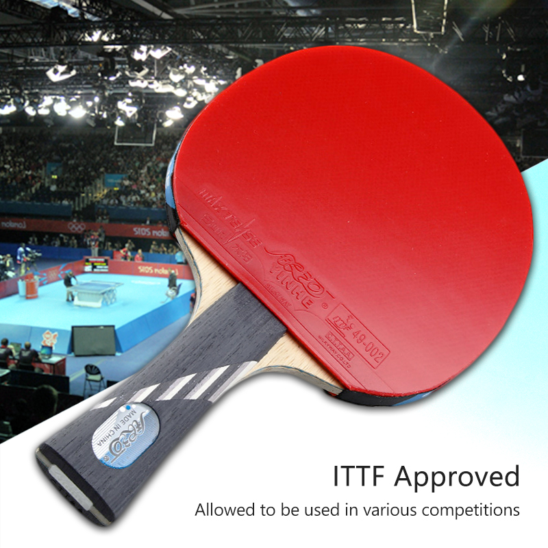 Yinhe-Raquette de ping-pong 10 - Table Tennis Viscaria avis et prix
