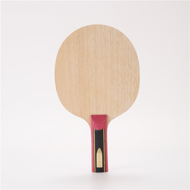 Stuor-Raquette de tennis de ta - Table Tennis Viscaria avis et prix