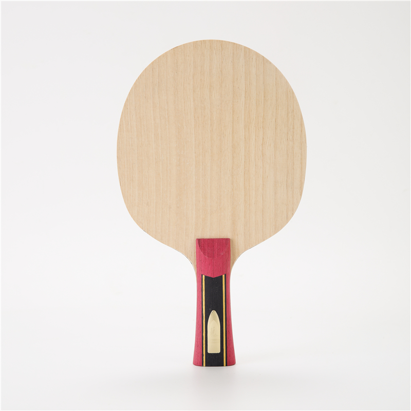 Stuor-Raquette de tennis de ta - Table Tennis Viscaria avis et prix