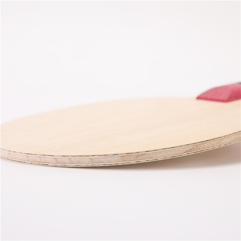 Stuor-Raquette de tennis de ta - Table Tennis Viscaria avis et prix